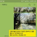 나의 경험을 통해 얻은 사이버 윤리의 필요성 -201300642 언론정보학과 김영원 이미지