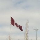 대한오일교환센타 | 캘거리 기아 서비스센터 엔진오일 교환 후기 | South Trail Kia