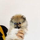 품안농장 이미지