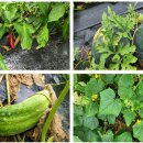 궁평2리 마을회관 이미지