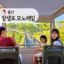 지에스25울산장생포점 | 울산 장생포 모노레일 아기랑 고래박물관 근처 가볼만한 곳 추천 (예약, 할인, 주차 정보)