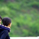 해미레 Daum카페
