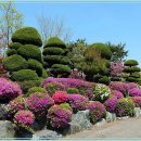 인천대공원(남문) 이미지