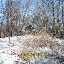 배산농장 이미지