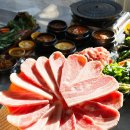 개나리식당 - 강서구 강서로 341 | 개나리식당