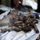 중문진실캠핑장 이미지