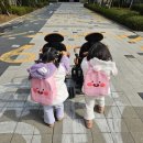 소리나는어린이집 | 27개월 쌍둥이 가정보육 후기, 어린이집 보내기 전까지의 이야기