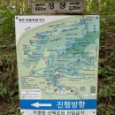 산림욕장 이미지