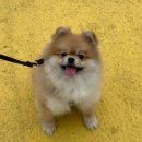 동해아침 주식회사 | 10月 - ①