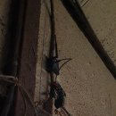 앞동산목장 이미지