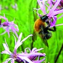 향기담기 이미지