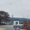 수아리아리애견 | 경주시청년센터 아리아리3기 애견대관운동장 멍마당 후기