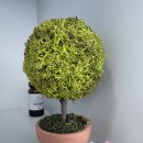 화성지사 이미지