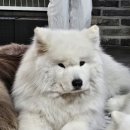 겨울이 머무는 집 이미지