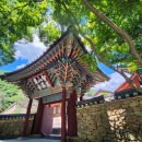 천년 행정사 이미지