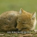 봉황맨션 이미지