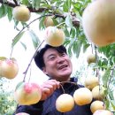 시목농장 이미지