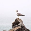 꽁트 - 수성구 노변공원로 89 | 꽁트