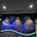 별자리 조형물(12 이미지