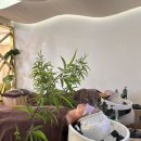 최영희 | 의정부헤드스파 최영희미용가 의정부점 에 다녀온 후기입니다