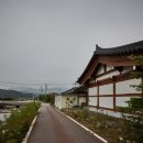 버섯구지마을 이미지