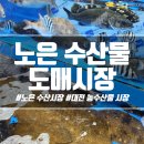 중도매인6호 | [대전 수산 시장][노은 수산 시장] 신선한 회를 바로 떠주는 <노은 수산물 시장>