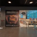 위트브로 이미지