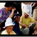 배나무집 이미지