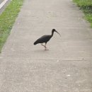 [남부] (야간)간단한끼요리(2025) | [2025 콜롬비아 뚜벅이] 메데진 &amp; 하르딘 2박3일