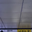 정은영헤어아트 | [발레] 5/8 국립발레단 더블 빌-맥그리거&테틀리 (GS아트센터 1층 A구역 시야, 커튼콜 풀영상)