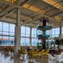 알멕스 | 알멕스랜드 후기