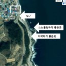 플로리다 대탄 이미지