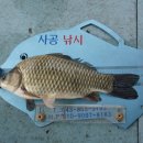 제일낚시 Daum카페