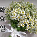 화요일 Daum카페