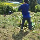 무주장의사 이미지