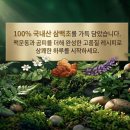 바이웰건강 네이버블로그