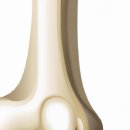 판교연세힐정형외과의원 | 도수치료와 거북목, 알고 계신가요?