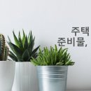 의한사