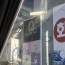 애코랜드 | [내돈내산] 허스키와 오션뷰를 볼 수 있는 애코랜드 해운대점