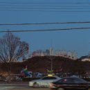 진산감나무집