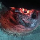 뽕나무민박 이미지