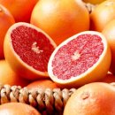 짐샤크 하안점 이미지