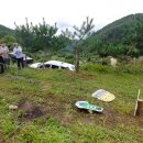 싱싱팜농장 이미지