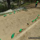 청남어린이집 이미지