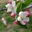 바울농장 이미지