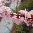 원수산 생태공원 공원입구 이미지