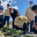 농협음성축산물공판장 - 15637 | 농협음성축산물공판장
