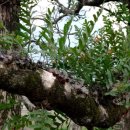 중국중화한의원 이미지