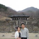 하동 섬진강변길 이미지