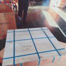 스파렉스 이미지